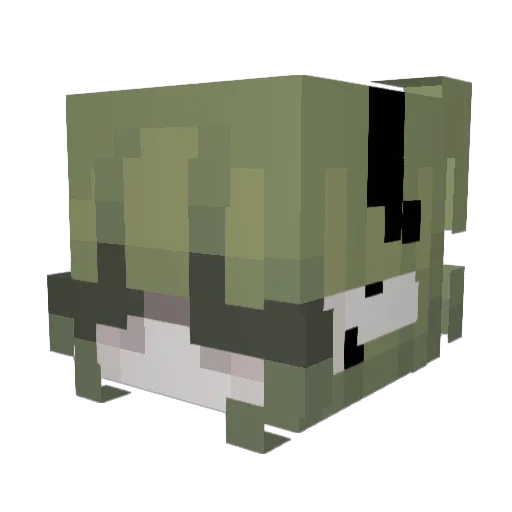 tirasu0480 Minecraft avatar head, 3D render
