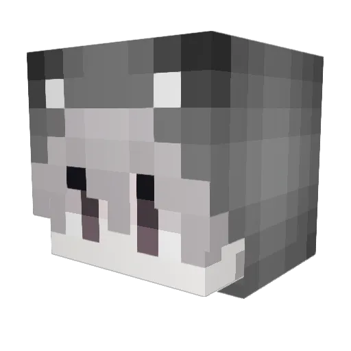 tired243178 Minecraft avatar head, 3D render