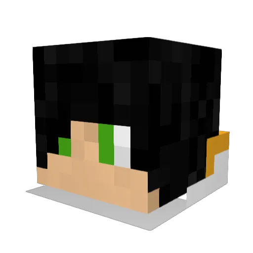 tireurdelite Minecraft avatar head, 3D render