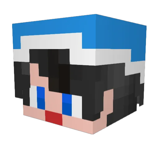 tiroruru Minecraft avatar head, 3D render