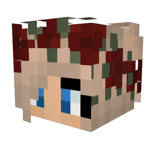 tis_i_jess Minecraft avatar head, 3D render