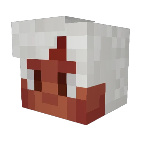 tis_jae Minecraft avatar head, 3D render