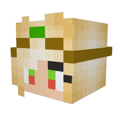 tissquid Minecraft avatar head, 3D render