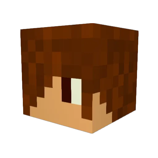 titilary234 Minecraft avatar head, 3D render