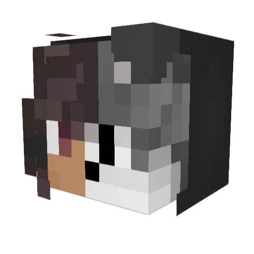 titins_3 Minecraft avatar head, 3D render
