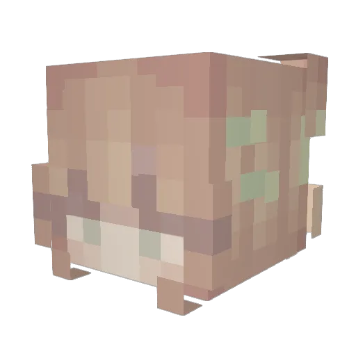 titiwinkle Minecraft avatar head, 3D render