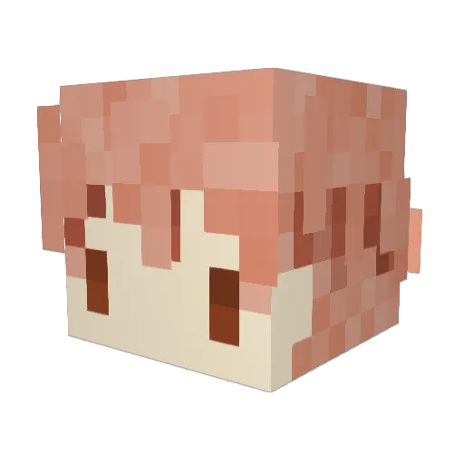 titoke Minecraft avatar head, 3D render