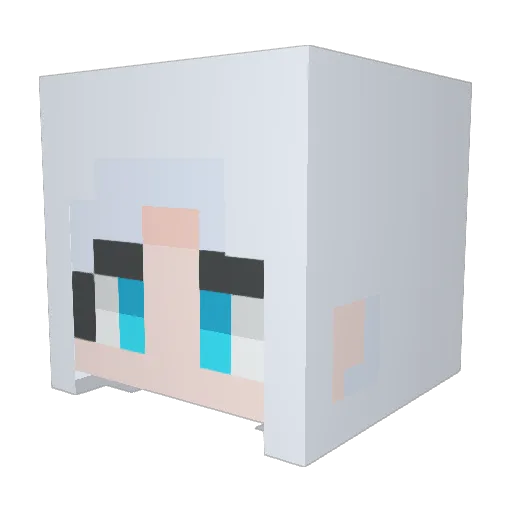 tiwn1012 Minecraft avatar head, 3D render