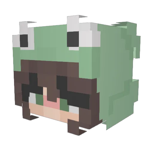 tj2hot Minecraft avatar head, 3D render