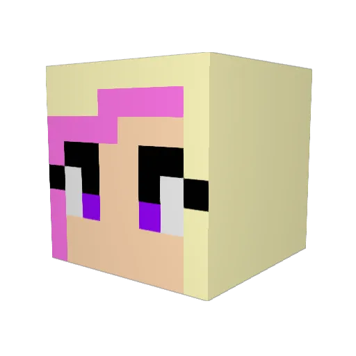 tj52887 Minecraft avatar head, 3D render