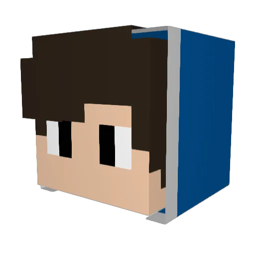tj_faivre Minecraft avatar head, 3D render