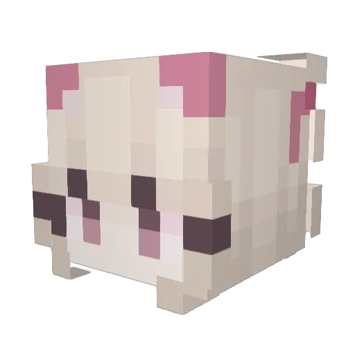 tjarakxd Minecraft avatar head, 3D render