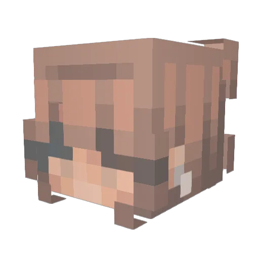 tjbrooks Minecraft avatar head, 3D render