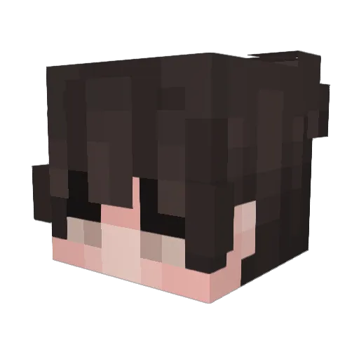 tjd0826 Minecraft avatar head, 3D render