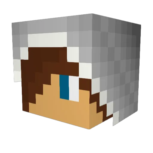 tjenkins6123 Minecraft avatar head, 3D render