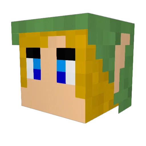 tjf1091 Minecraft avatar head, 3D render