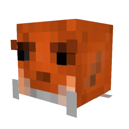 tjfbx Minecraft avatar head, 3D render