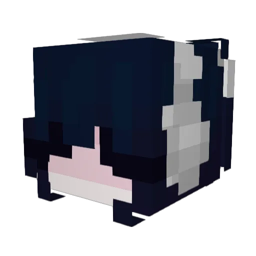 tjg6696 Minecraft avatar head, 3D render