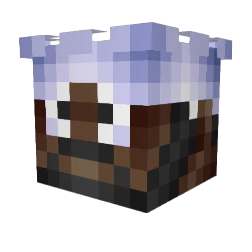 tjgwsg Minecraft avatar head, 3D render