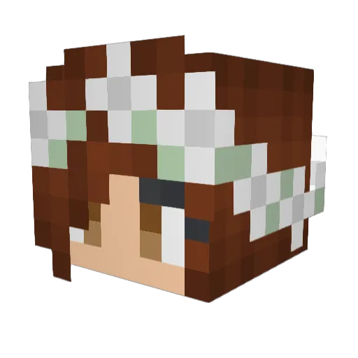 tjllama3131 Minecraft avatar head, 3D render