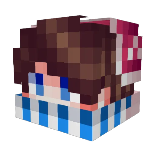 tjn_MidNight Minecraft avatar head, 3D render