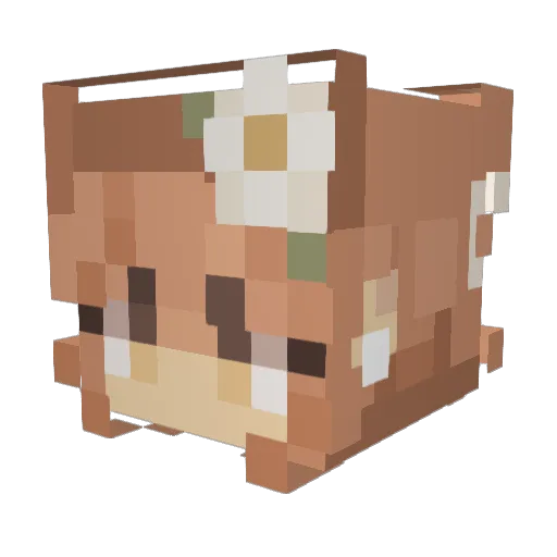 tjors Minecraft avatar head, 3D render