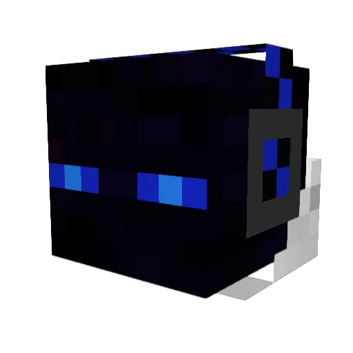 tjra1999 Minecraft avatar head, 3D render