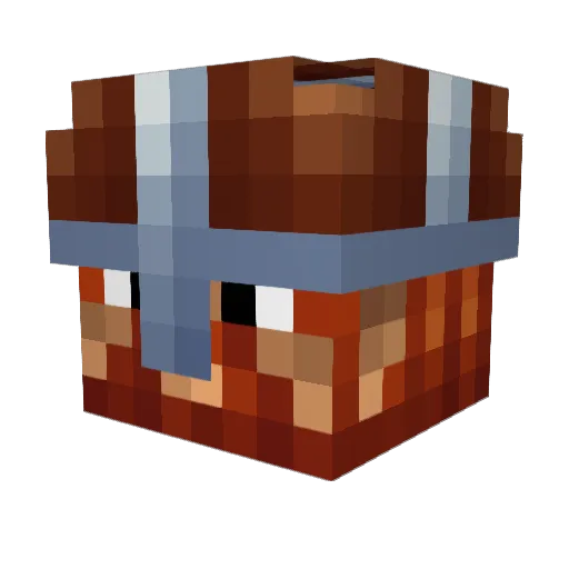tjrypl Minecraft avatar head, 3D render