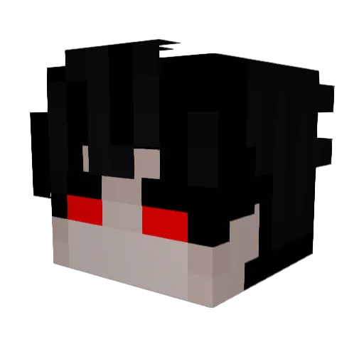 tjsei16 Minecraft avatar head, 3D render