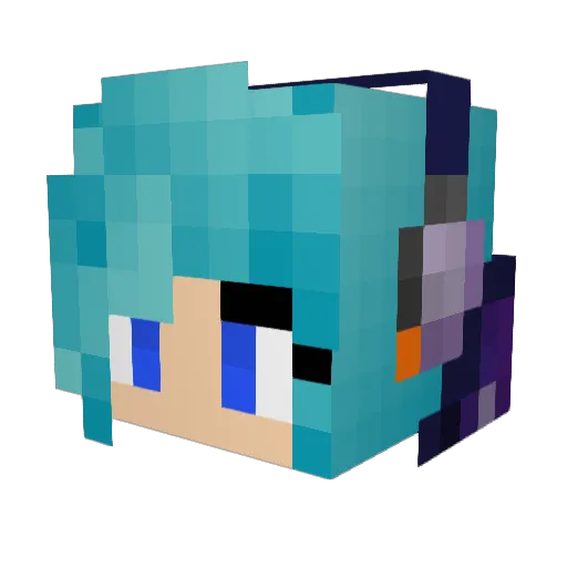 tjswanson202 Minecraft avatar head, 3D render