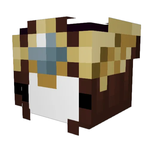tjsweepers Minecraft avatar head, 3D render