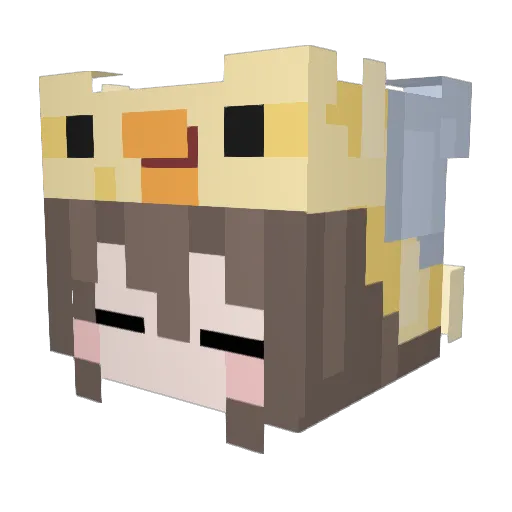 tjugo_ Minecraft avatar head, 3D render