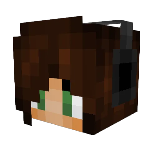 tkmfarm62 Minecraft avatar head, 3D render