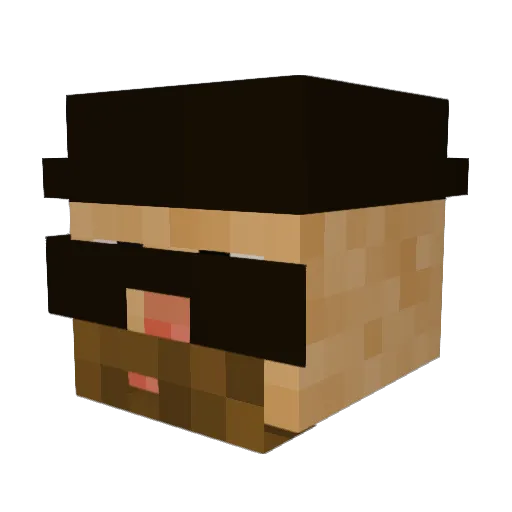 tkookies7 Minecraft avatar head, 3D render