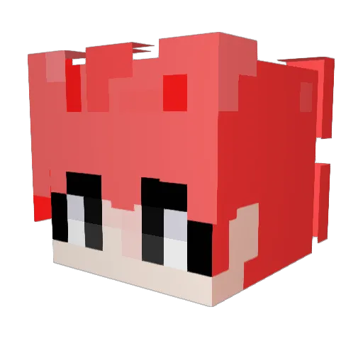 tkrhkwpffl Minecraft avatar head, 3D render