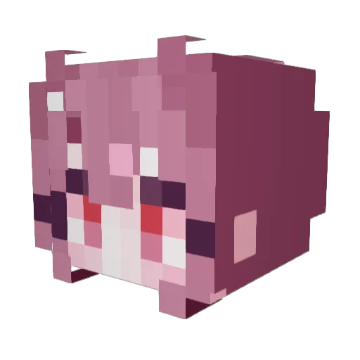 tkxkd Minecraft avatar head, 3D render