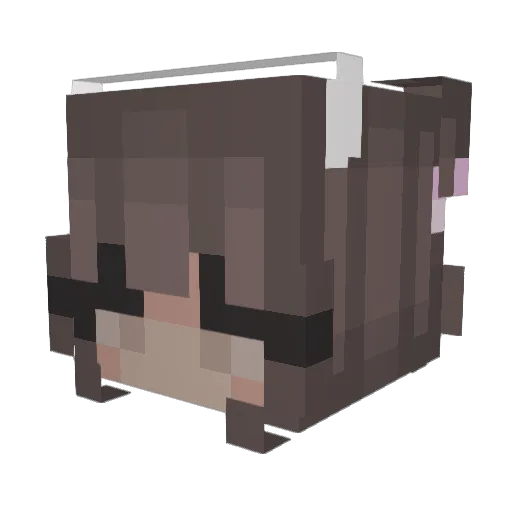 tla27 Minecraft avatar head, 3D render