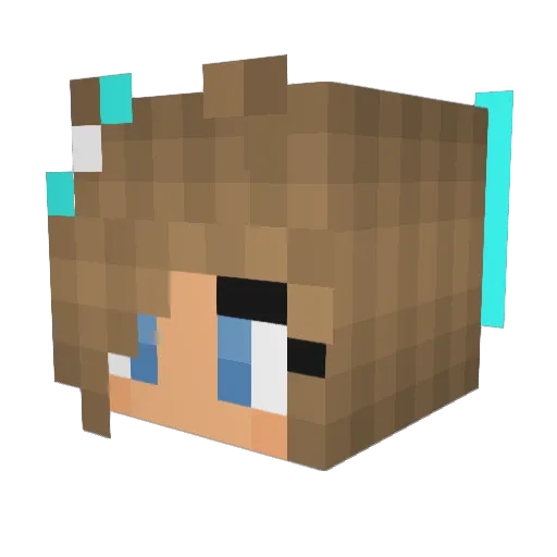 tlarch13 Minecraft avatar head, 3D render