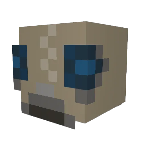 tlddndia Minecraft avatar head, 3D render