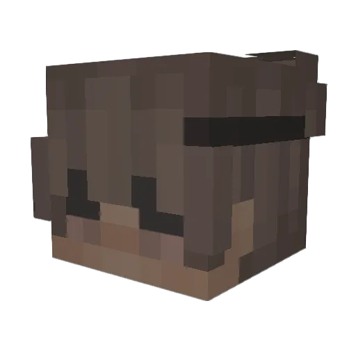 tlib6 Minecraft avatar head, 3D render