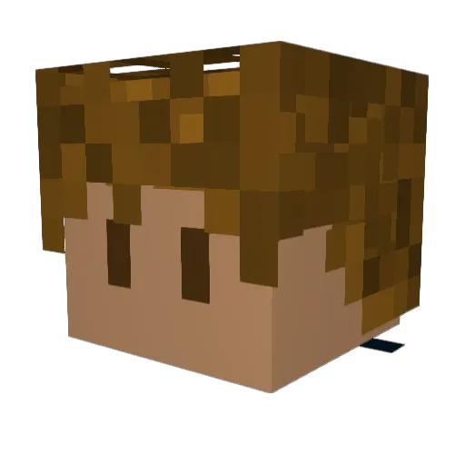 tlink79 Minecraft avatar head, 3D render