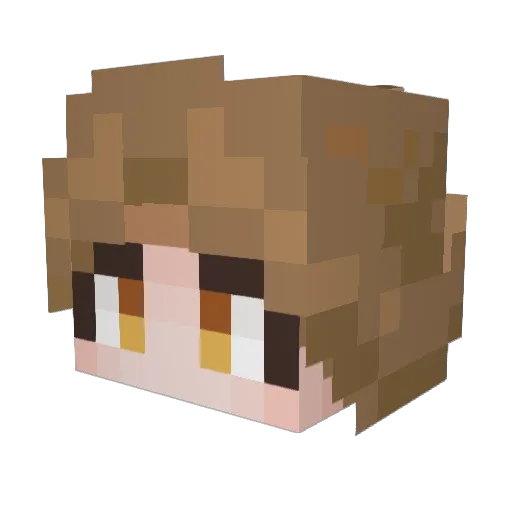 tlqkfsha0123 Minecraft avatar head, 3D render