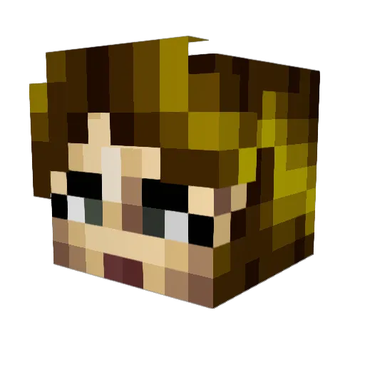 tlsole Minecraft avatar head, 3D render
