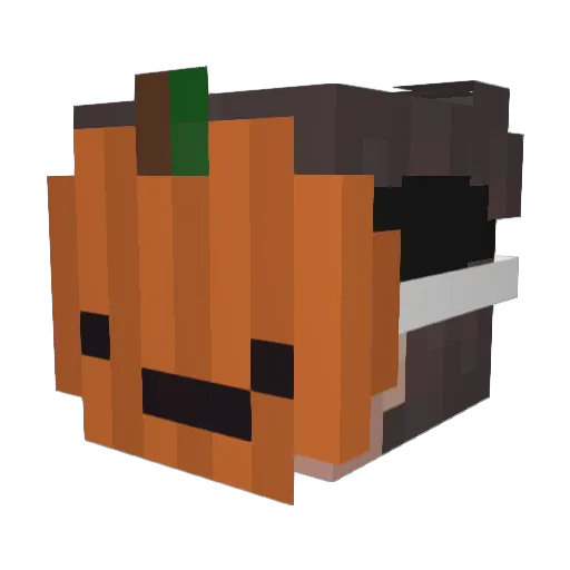 tlswoals7 Minecraft avatar head, 3D render
