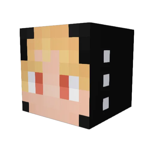 tlswogur01 Minecraft avatar head, 3D render