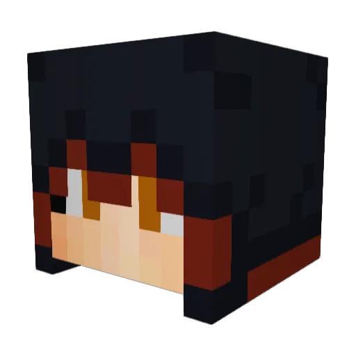 tlwar20 Minecraft avatar head, 3D render