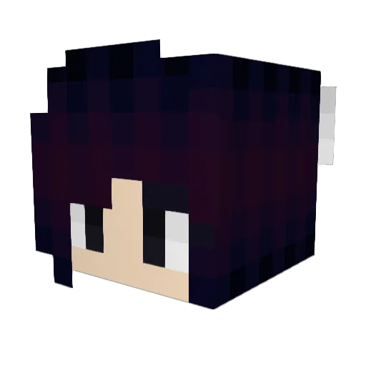 tm16tm Minecraft avatar head, 3D render