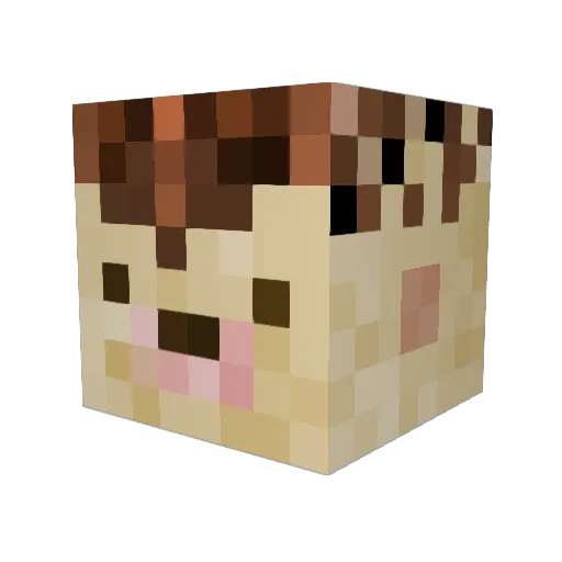 tma79 Minecraft avatar head, 3D render