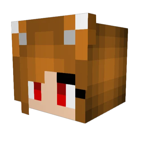 tmackster69 Minecraft avatar head, 3D render