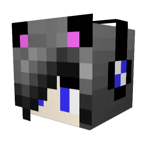 tman65o Minecraft avatar head, 3D render